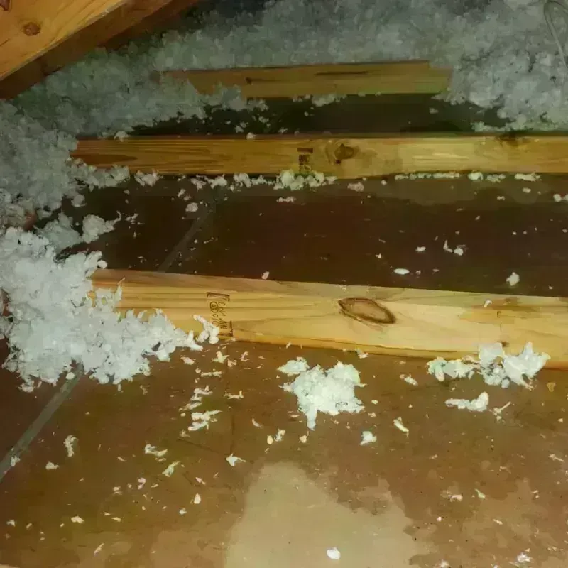 Attic Water Damage in Brodheadsville, PA